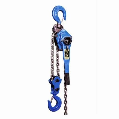 0.25T 0.5T 0.75T 1.5T Chain Pulley Block Construction Chain Pulley 3 Ton